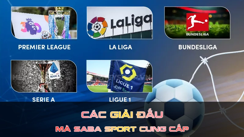 Các giải đấu Bóng đá hot mà Saba Sport cung cấp